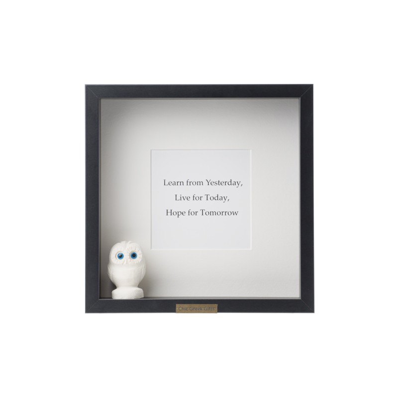 FRAMED 3D OBJECT - Famous Quote - Albert Einstein - Ceramic Owl image #1
